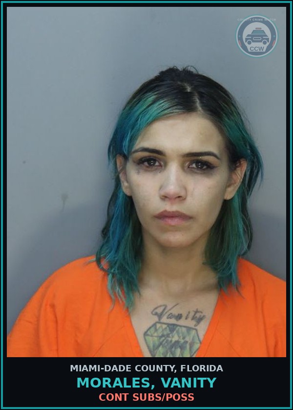Booking mugshot of MORALES, VANITY in Miami-Dade County