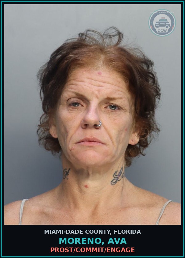Booking mugshot of MORENO, AVA in Miami-Dade County