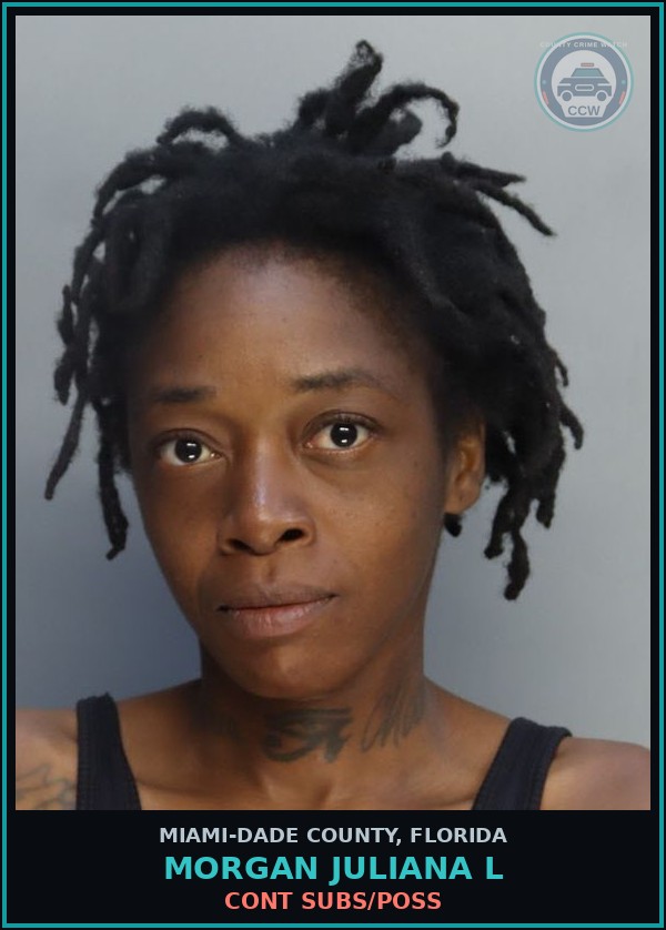 Booking mugshot of MORGAN JULIANA  L in Miami-Dade County