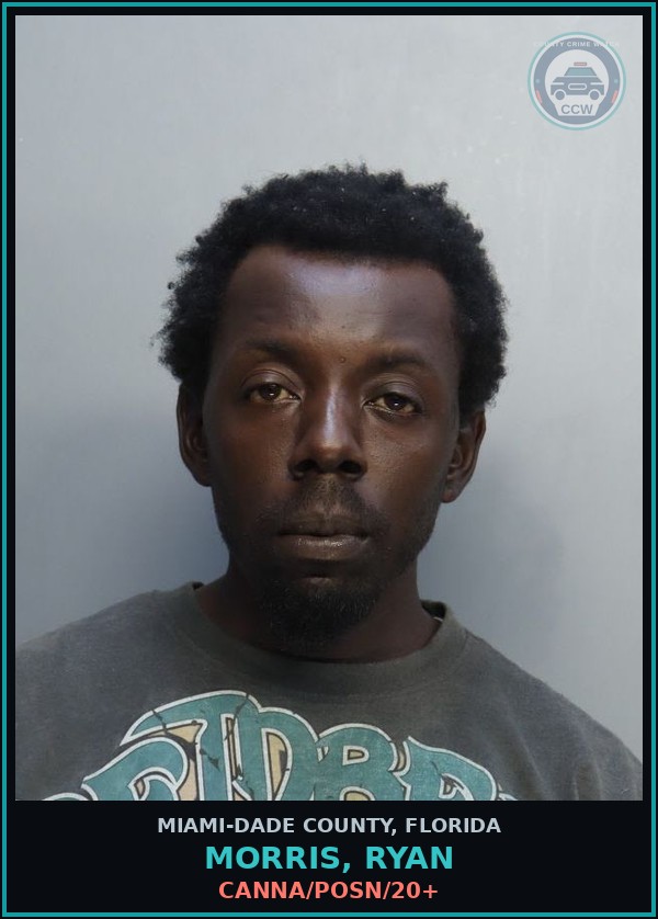 Booking mugshot of MORRIS, RYAN in Miami-Dade County