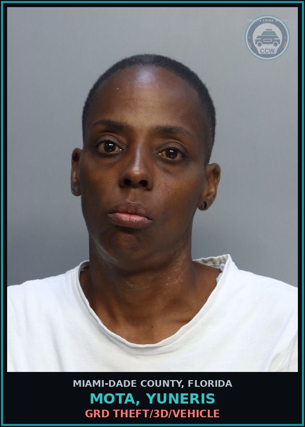 Booking mugshot of MOTA, YUNERIS in Miami-Dade County