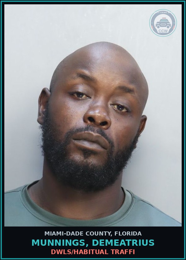 Booking mugshot of MUNNINGS, DEMEATRIUS in Miami-Dade County