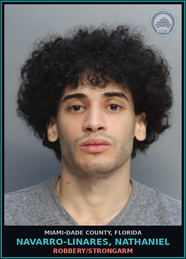 Booking mugshot of NAVARRO-LINARES, NATHANIEL in Miami-Dade County