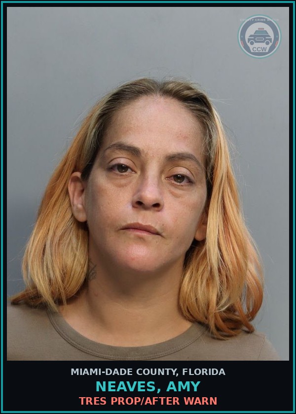 Booking mugshot of NEAVES, AMY in Miami-Dade County