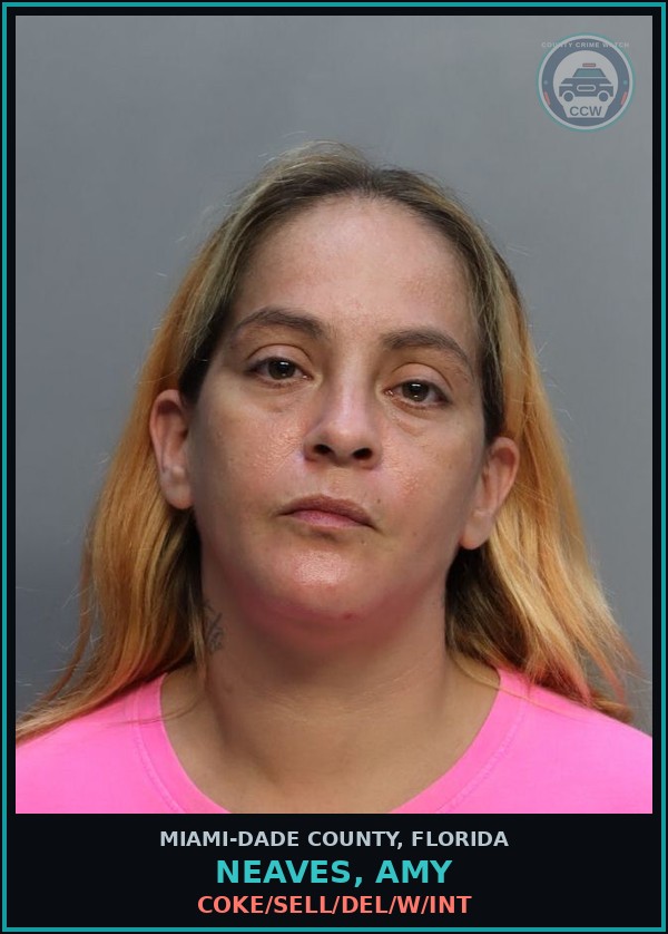 Booking mugshot of NEAVES, AMY in Miami-Dade County