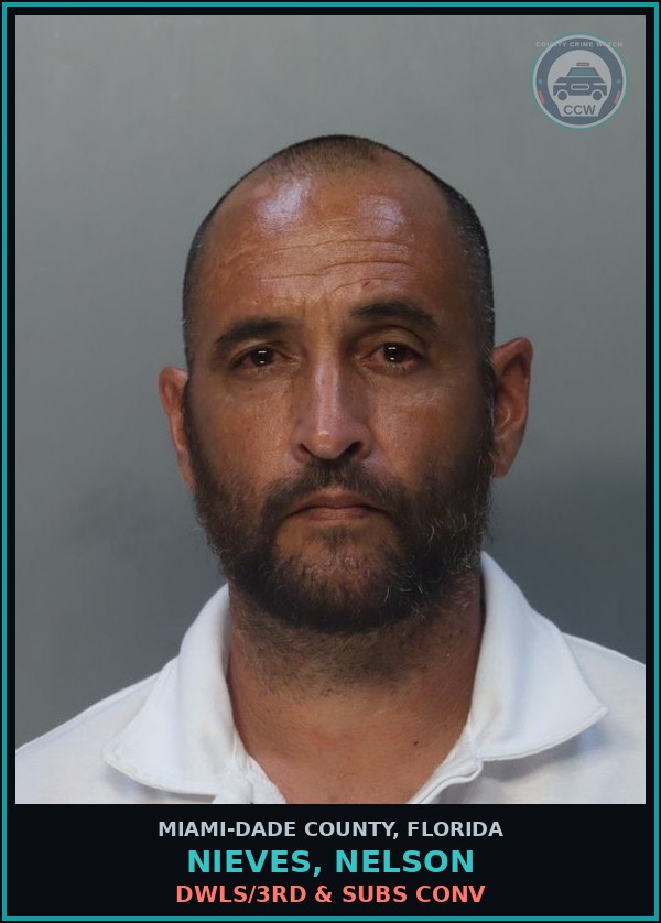 Booking mugshot of NIEVES, NELSON in Miami-Dade County