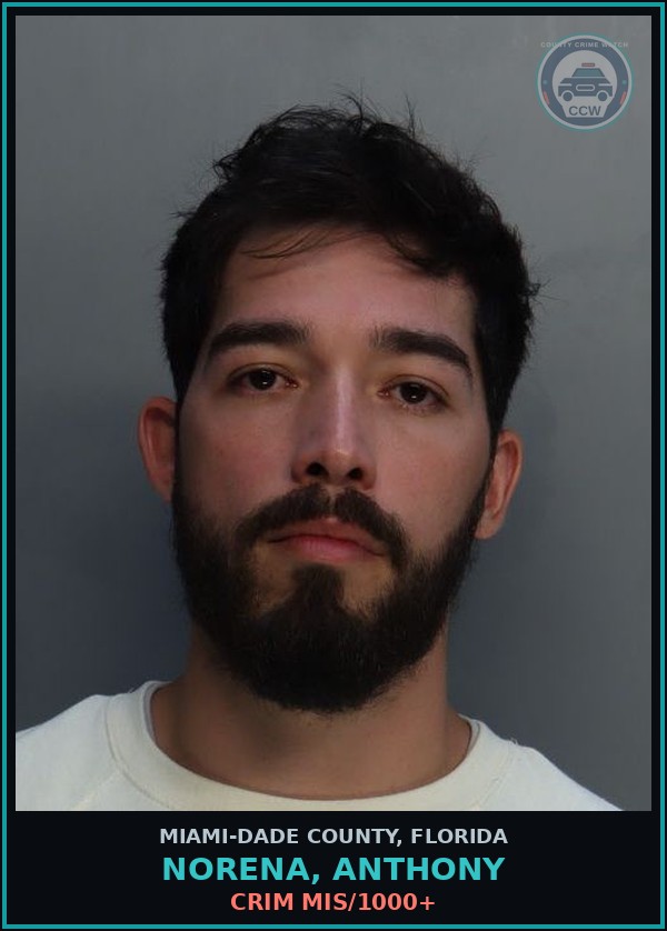 Booking mugshot of NORENA, ANTHONY in Miami-Dade County