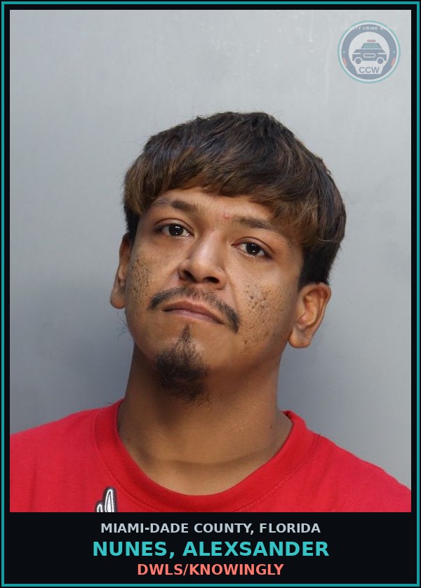 Booking mugshot of NUNES, ALEXSANDER in Miami-Dade County