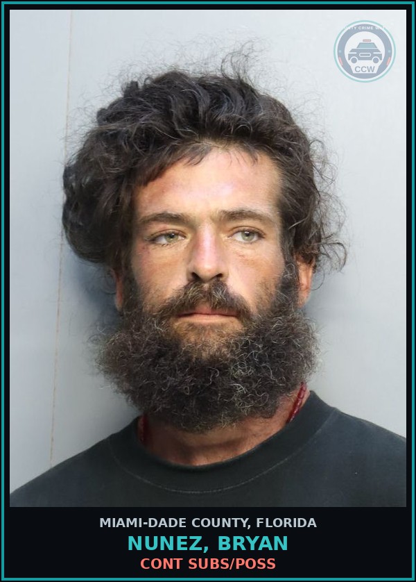 Booking mugshot of NUNEZ, BRYAN in Miami-Dade County