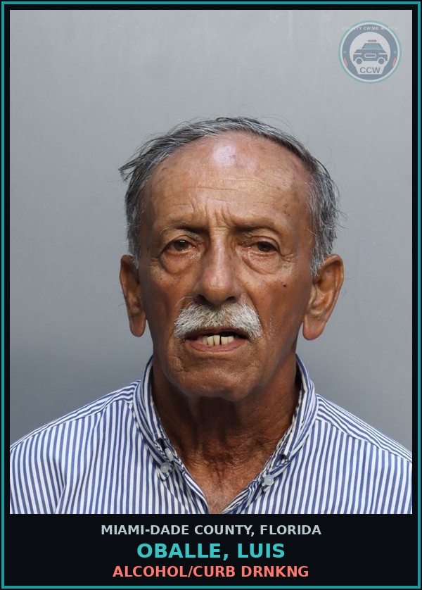 Booking mugshot of OBALLE, LUIS in Miami-Dade County