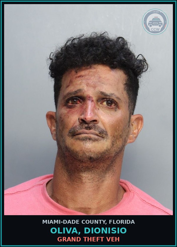 Booking mugshot of OLIVA, DIONISIO in Miami-Dade County