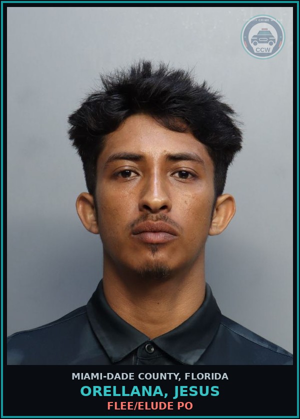Booking mugshot of ORELLANA, JESUS in Miami-Dade County