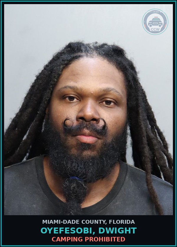 Booking mugshot of OYEFESOBI, DWIGHT in Miami-Dade County