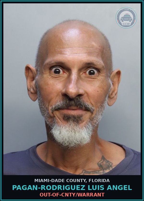 Booking mugshot of PAGAN-RODRIGUEZ LUIS  ANGEL in Miami-Dade County