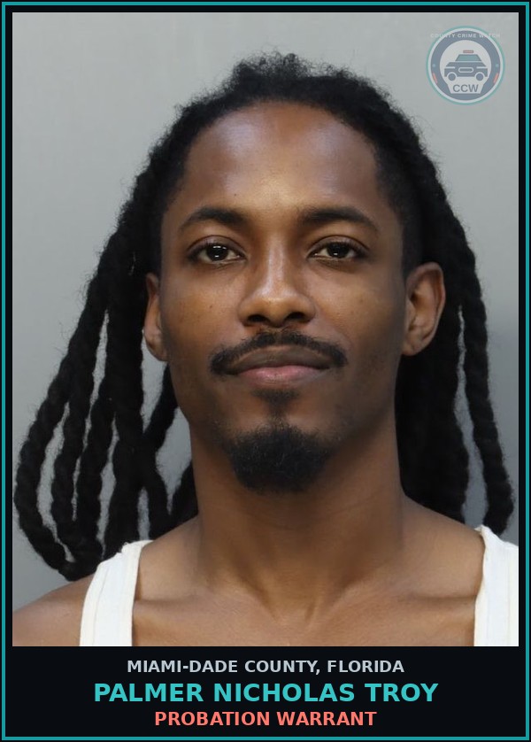 Booking mugshot of PALMER NICHOLAS  TROY in Miami-Dade County