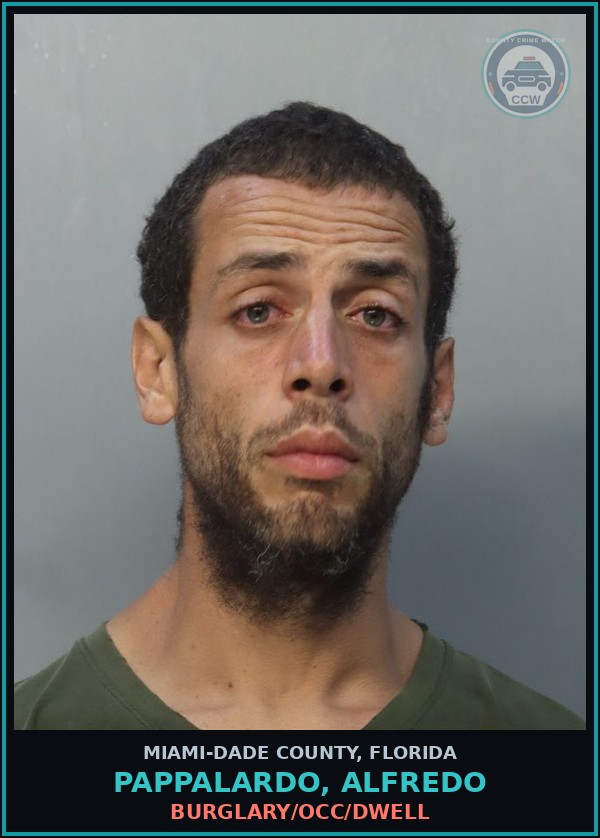 Booking mugshot of PAPPALARDO, ALFREDO in Miami-Dade County