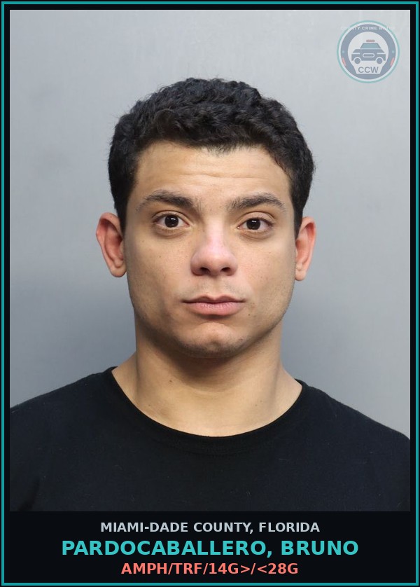 Booking mugshot of PARDOCABALLERO, BRUNO in Miami-Dade County
