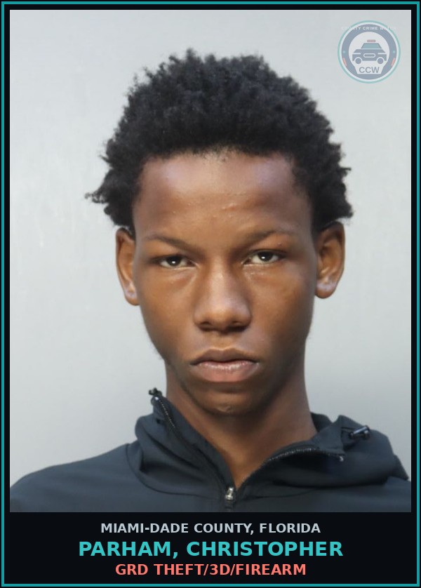 Booking mugshot of PARHAM, CHRISTOPHER in Miami-Dade County