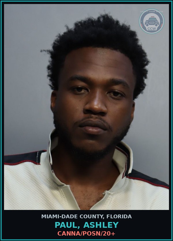 Booking mugshot of PAUL, ASHLEY in Miami-Dade County