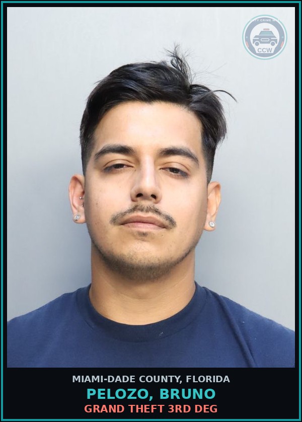 Booking mugshot of PELOZO, BRUNO in Miami-Dade County
