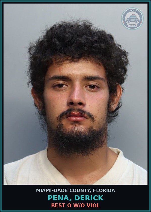 Booking mugshot of PENA, DERICK in Miami-Dade County