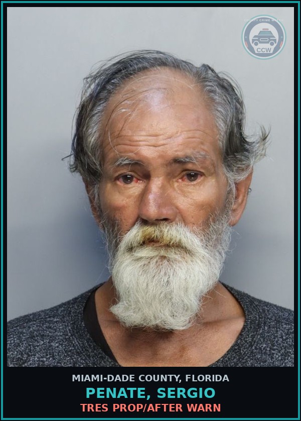Booking mugshot of PENATE, SERGIO in Miami-Dade County