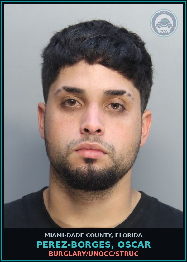 Booking mugshot of PEREZ-BORGES, OSCAR in Miami-Dade County