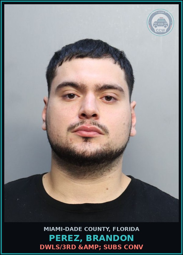 Booking mugshot of PEREZ, BRANDON in Miami-Dade County