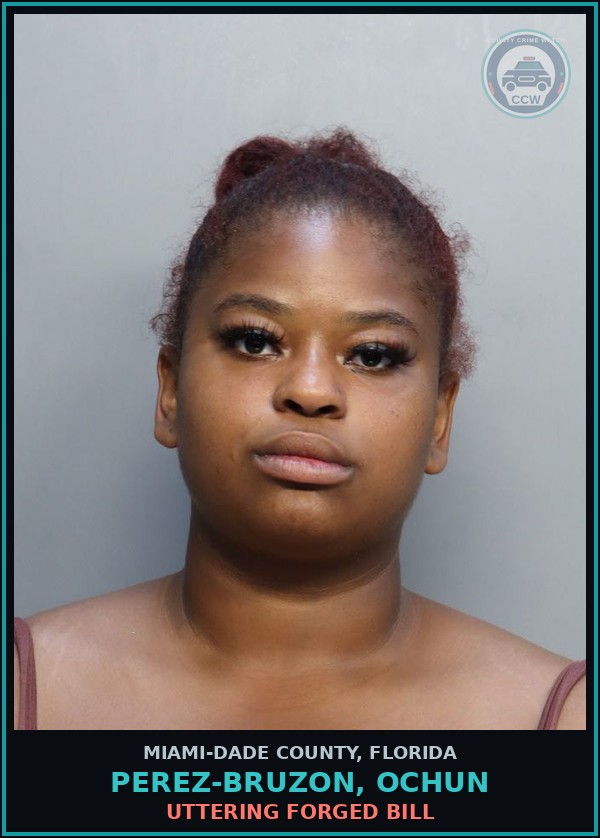Booking mugshot of PEREZ-BRUZON, OCHUN in Miami-Dade County