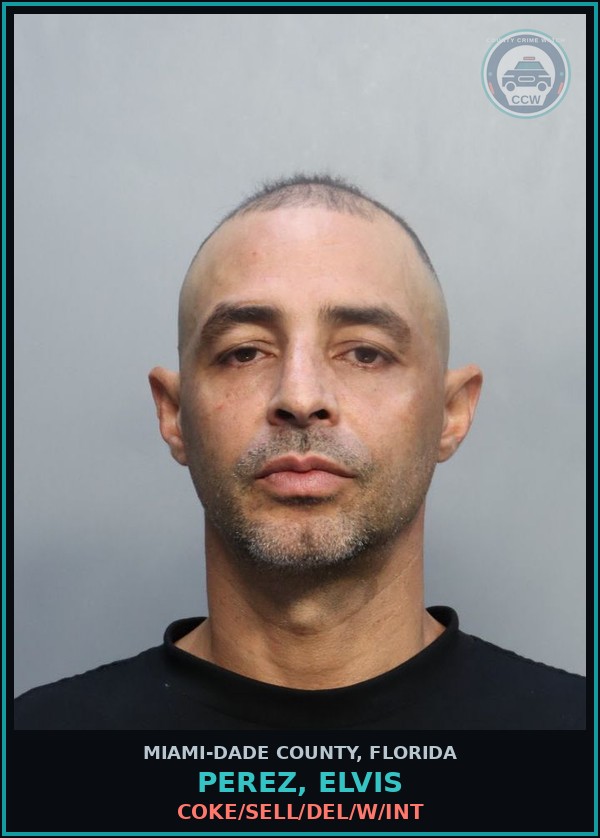 Booking mugshot of PEREZ, ELVIS in Miami-Dade County