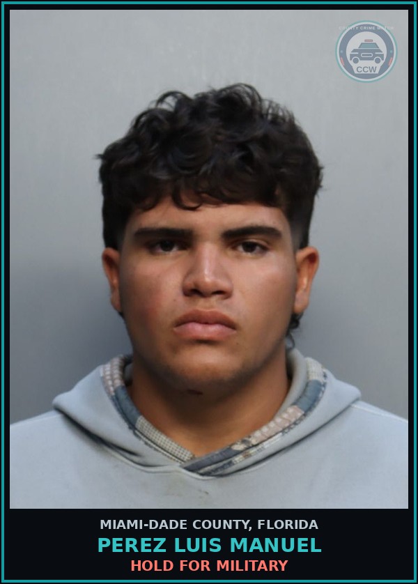 Booking mugshot of PEREZ LUIS  MANUEL in Miami-Dade County