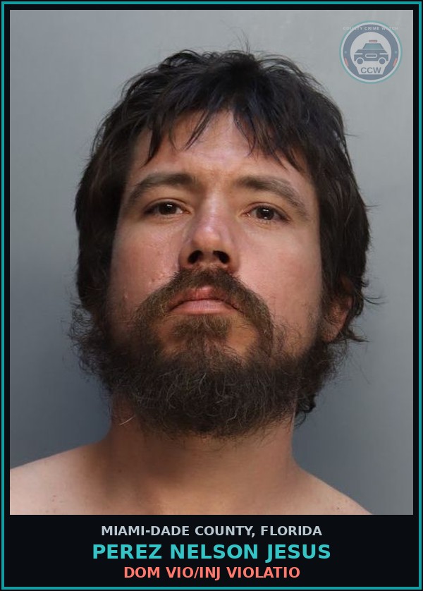 Booking mugshot of PEREZ NELSON  JESUS in Miami-Dade County