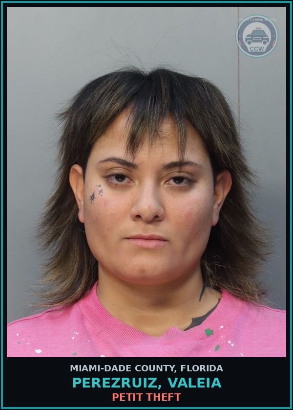 Booking mugshot of PEREZRUIZ, VALEIA in Miami-Dade County