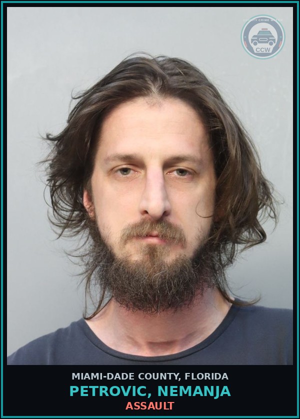 Booking mugshot of PETROVIC, NEMANJA in Miami-Dade County