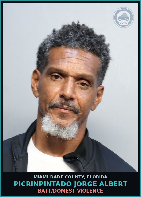 Booking mugshot of PICRINPINTADO JORGE  ALBERT in Miami-Dade County