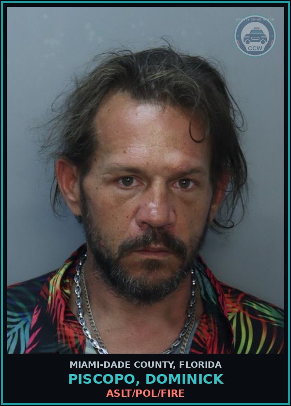 Booking mugshot of PISCOPO, DOMINICK in Miami-Dade County