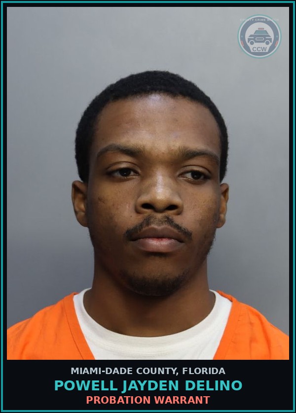 Booking mugshot of POWELL JAYDEN  DELINO in Miami-Dade County