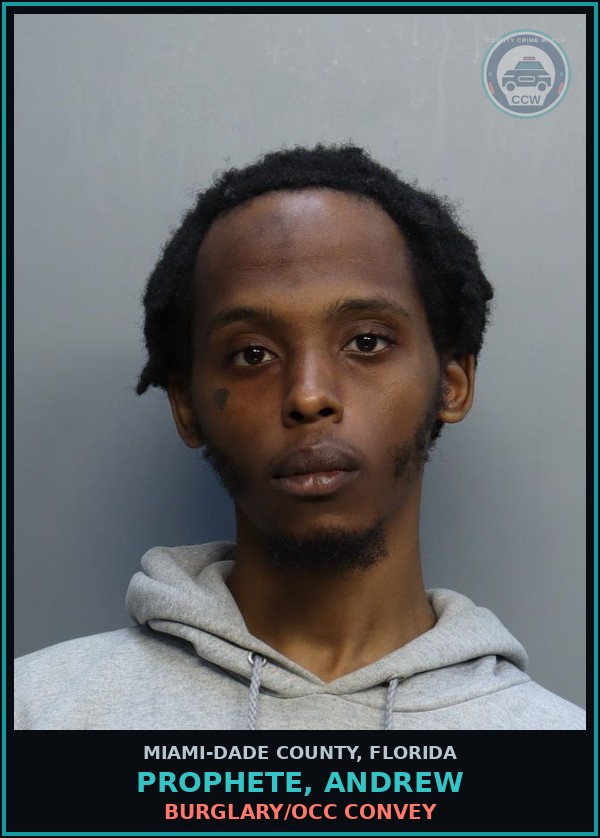 Booking mugshot of PROPHETE, ANDREW in Miami-Dade County