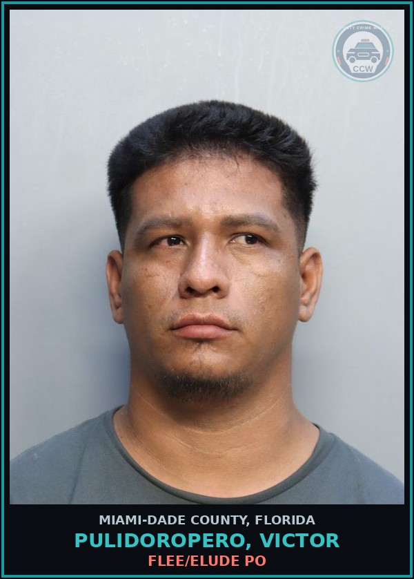 Booking mugshot of PULIDOROPERO, VICTOR in Miami-Dade County