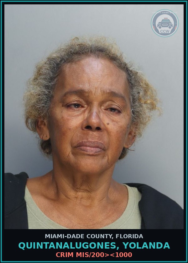 Booking mugshot of QUINTANALUGONES, YOLANDA in Miami-Dade County