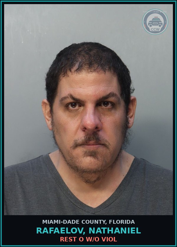 Booking mugshot of RAFAELOV, NATHANIEL in Miami-Dade County