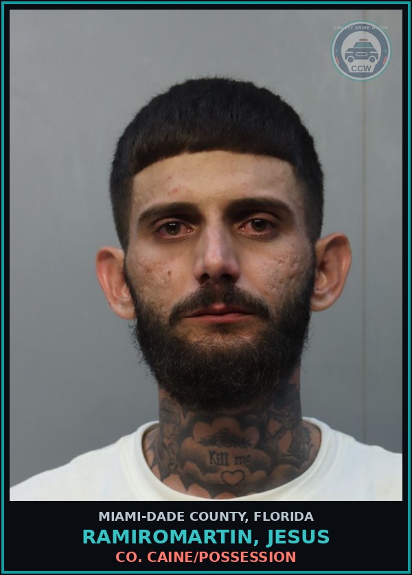 Booking mugshot of RAMIROMARTIN, JESUS in Miami-Dade County