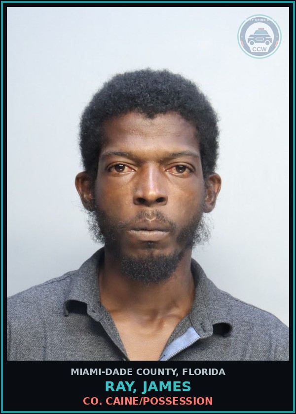 Booking mugshot of RAY, JAMES in Miami-Dade County