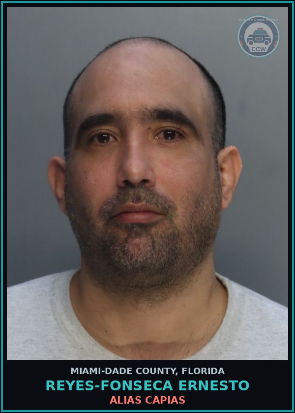Booking mugshot of REYES-FONSECA ERNESTO in Miami-Dade County