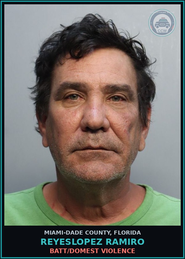 Booking mugshot of REYESLOPEZ RAMIRO in Miami-Dade County