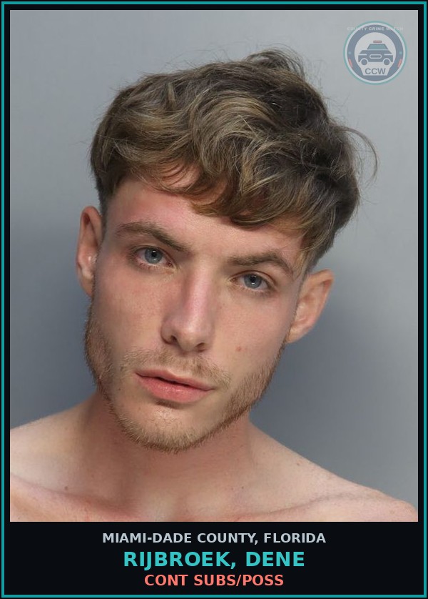 Booking mugshot of RIJBROEK, DENE in Miami-Dade County