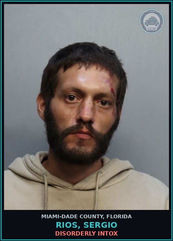 Booking mugshot of RIOS, SERGIO in Miami-Dade County