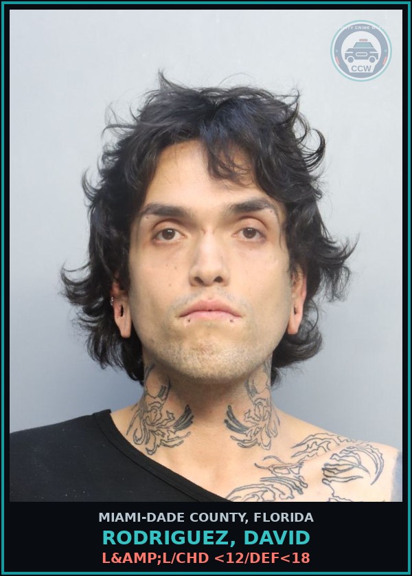 Booking mugshot of RODRIGUEZ, DAVID in Miami-Dade County