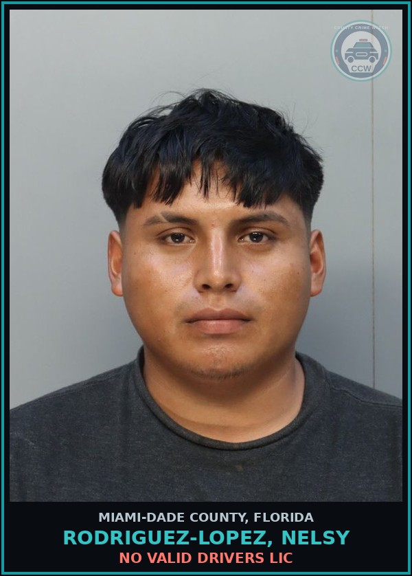 Booking mugshot of RODRIGUEZ-LOPEZ, NELSY in Miami-Dade County