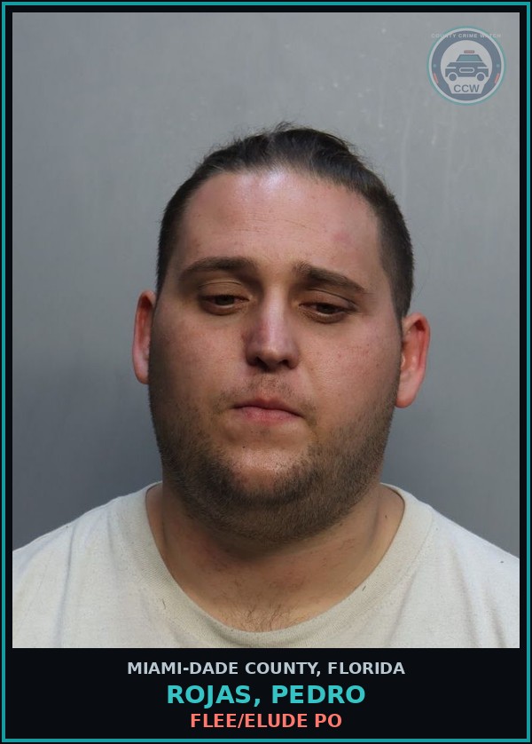 Booking mugshot of ROJAS, PEDRO in Miami-Dade County